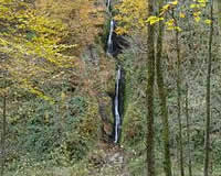 Waterval van Reinhardstein - Hoogste waterval van België