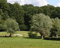 Natuurpark Avesnois