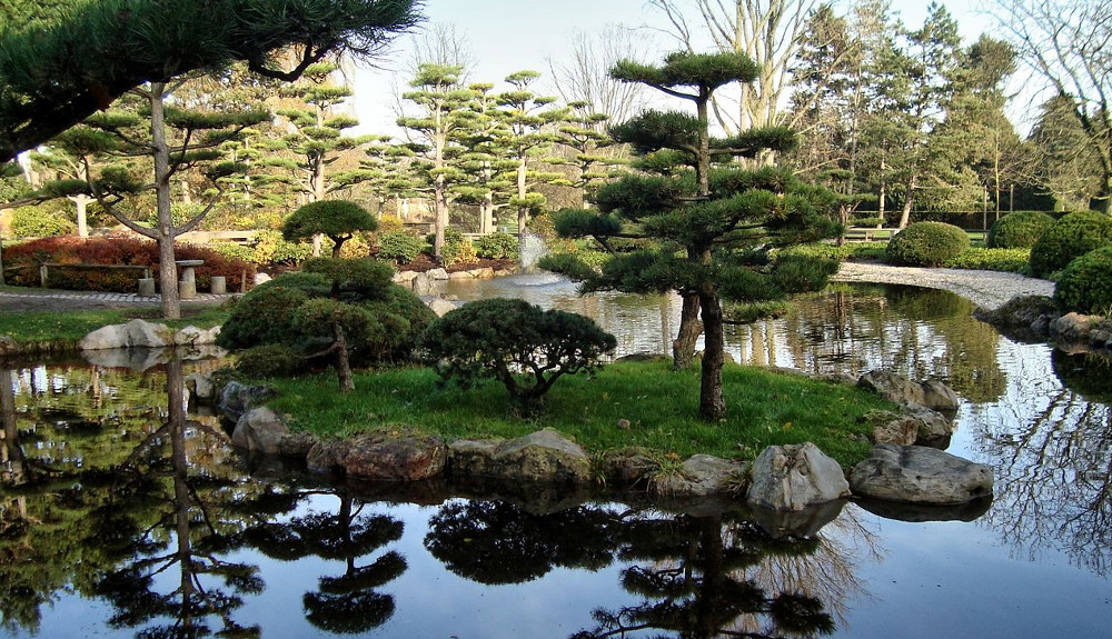 japanischer garten - Botanische tuin