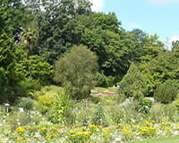 Plantentuin - Botanische tuin